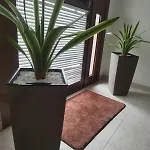 Edelweiss 3*