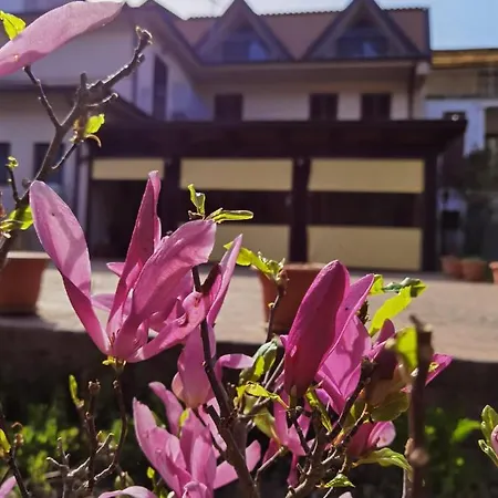 Hotel Edelweiss